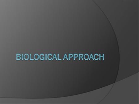 Assumptions about causes: Same as physical illness  Brain anatomy  Infection  Neurotransmitters/Chemical imbalance  Genetics.