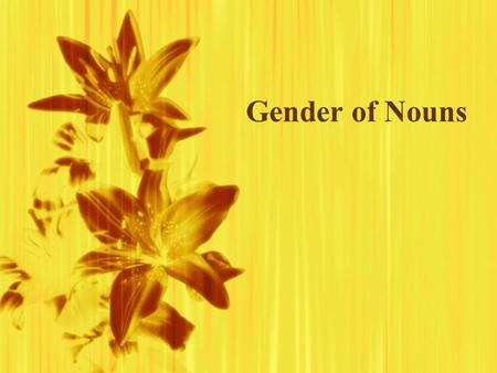 Gender of Nouns. Nouns  Are names of people, places, things or concepts  In Spanish, nouns are either masculine or feminine.  Are names of people,