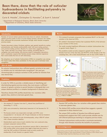 Been there, done that: the role of cuticular hydrocarbons in facilitating polyandry in decorated crickets Carie B. Weddle 1, Christopher G. Hamaker 2,