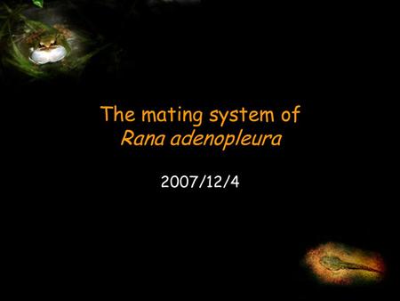 The mating system of Rana adenopleura 2007/12/4. Introduction Methods Animal model and study site Field procedure Preliminary result Behaviour Male mating.