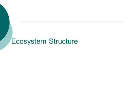 Ecosystem Structure. Food Chain  1 st level of all food chains must be the producers Producers have the ability to trap energy and produce carbohydrates.