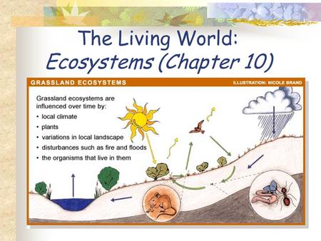 The Living World: Ecosystems (Chapter 10). Ecosystem – A community of living organisms interacting with one another and with the nonliving components.