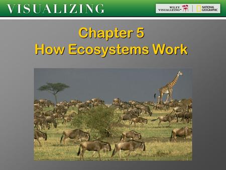 Chapter 5 How Ecosystems Work. Lake Victoria Freshwater lake in Africa Freshwater lake in Africa Formerly home to ≈ 400 species of cichlids Formerly home.