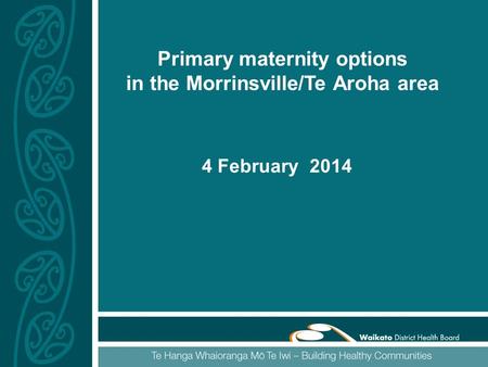 Primary maternity options in the Morrinsville/Te Aroha area 4 February 2014.