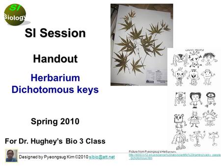 Designed by Pyeongsug Kim ©2010 SI Session Handout Herbarium Dichotomous keys Spring 2010 For Dr. Hughey’s Bio 3 Class Picture.