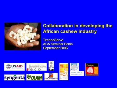 Collaboration in developing the African cashew industry TechnoServe ACA Seminar Benin September 2006 Global Trading and agency bv.