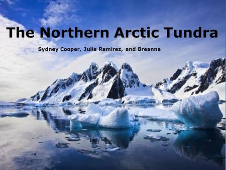 North Arctic Tundra Sydney, Julia, and Breanna Sydney Cooper, Julia Ramirez, and Breanna The Northern Arctic Tundra.