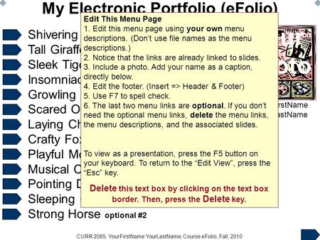 CURR 2085, YourFirstName YourLastName, Course eFolio, Fall, 2010 My Electronic Portfolio (eFolio) Shivering Penguin lesson-plan-description Tall Giraffe.