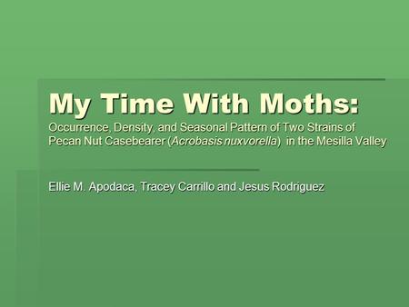 My Time With Moths: Occurrence, Density, and Seasonal Pattern of Two Strains of Pecan Nut Casebearer (Acrobasis nuxvorella) in the Mesilla Valley Ellie.