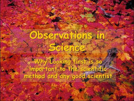 Observations in Science Why Looking first is so important to the scientific method and any good scientist.