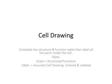 Cell Drawing Complete the structure & function table then label all the parts inside the cell. 50pts. 31pts = Structures/Functions 19pts. = Accurate Cell.