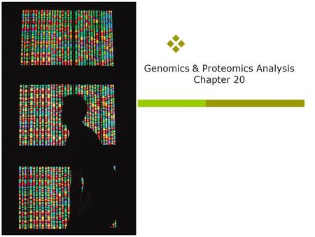 Genomics & Proteomics Analysis Chapter 20 Overview of topics to be discussed  How to sequence genomic DNA (we will have to touch briefly on polymerase.