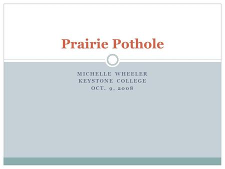 MICHELLE WHEELER KEYSTONE COLLEGE OCT. 9, 2008 Prairie Pothole.