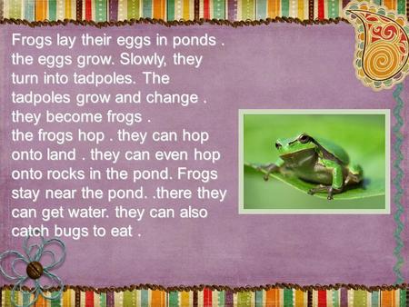 Frogs lay their eggs in ponds. the eggs grow. Slowly, they turn into tadpoles. The tadpoles grow and change. they become frogs. the frogs hop. they can.