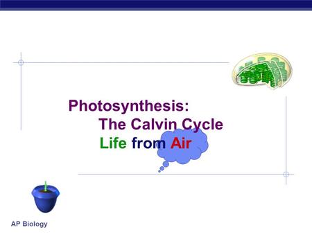 Photosynthesis: The Calvin Cycle Life from Air