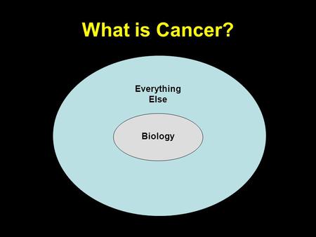 Everything Else What is Cancer? Biology. Part 1: Biology.