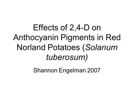 Effects of 2,4-D on Anthocyanin Pigments in Red Norland Potatoes (Solanum tuberosum) Shannon Engelman 2007.