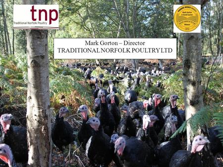 1 Mark Gorton – Director TRADITIONAL NORFOLK POULTRY LTD.