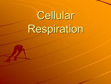 Cellular Respiration.