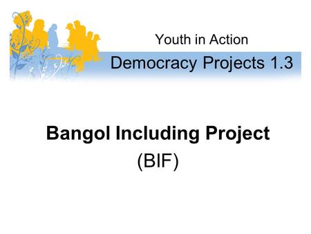 Youth in Action Democracy Projects 1.3 Bangol Including Project (BIF)