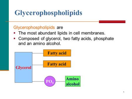 Glycerophospholipids