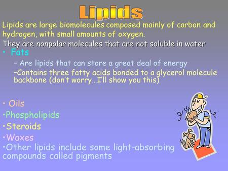 Fats They are nonpolar molecules that are not soluble in water – Are lipids that can store a great deal of energy –Contains three fatty acids bonded to.