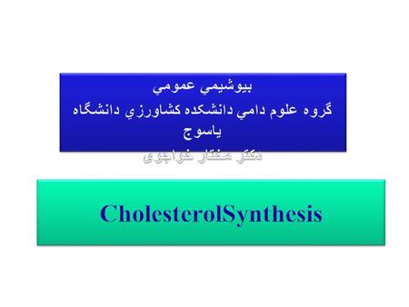 Hydroxymethylglutaryl-coenzyme A (HMG-CoA) is the precursor for cholesterol synthesis. HMG-CoA is also an intermediate on the pathway for synthesis of.