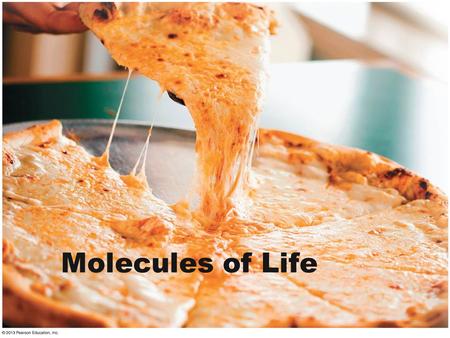 Molecules of Life. Carbon Compounds The Versatile Carbon Atom Carbon has 4 electrons in outer shell Can form a bond with four other molecules.