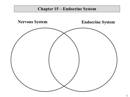 1 Nervous System Endocrine System Chapter 15 – Endocrine System.