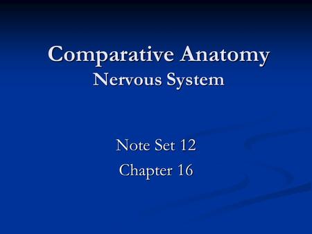 Comparative Anatomy Nervous System