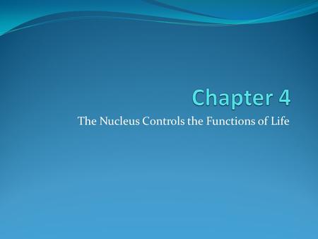 The Nucleus Controls the Functions of Life. Brainstorm What physical features can vary from person to person? Survey the students to determine: Smooth.