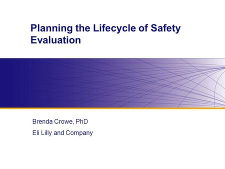 Planning the Lifecycle of Safety Evaluation