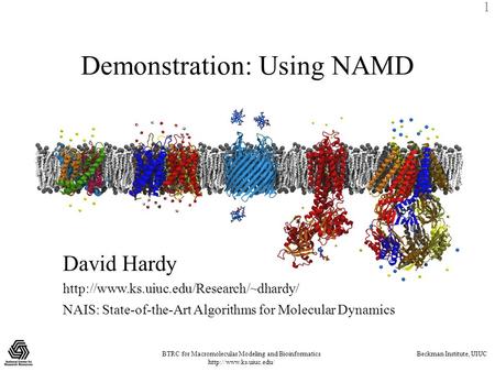 BTRC for Macromolecular Modeling and Bioinformatics  Beckman Institute, UIUC 1 Demonstration: Using NAMD David Hardy