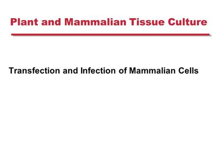 Plant and Mammalian Tissue Culture