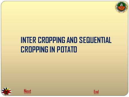 INTER CROPPING AND SEQUENTIAL CROPPING IN POTATO Next End.