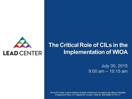 The LEAD Center is led by National Disability Institute and is funded by the Office of Disability Employment Policy, U.S. Department of Labor, Grant No.