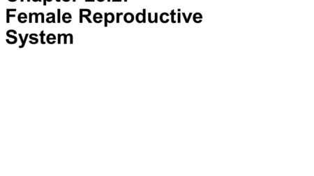 Chapter 23.2: Female Reproductive System. General Anatomy -Ovaries: produce oocytes and hormones -Uterine tubes: transport oocytes from ovaries to uterus.