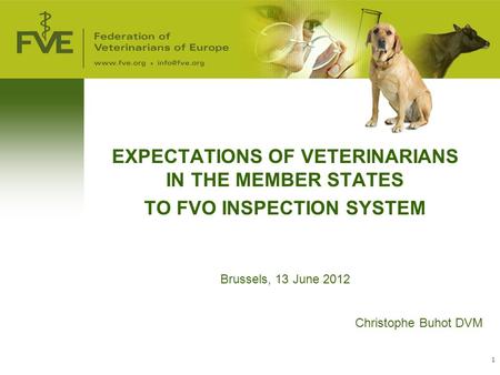 1 EXPECTATIONS OF VETERINARIANS IN THE MEMBER STATES TO FVO INSPECTION SYSTEM Brussels, 13 June 2012 Christophe Buhot DVM.