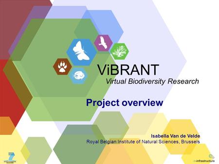 ViBRANT Virtual Biodiversity Research Project overview Isabella Van de Velde Royal Belgian Institute of Natural Sciences, Brussels.