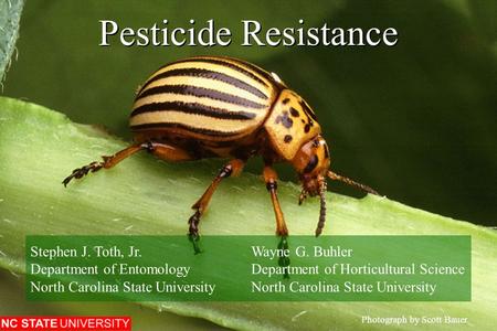 Pesticide Resistance Photograph by Scott Bauer. Stephen J. Toth, Jr.Wayne G. Buhler Department of EntomologyDepartment of Horticultural ScienceNorth Carolina.