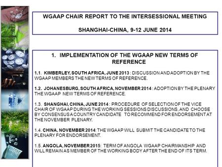 1.IMPLEMENTATION OF THE WGAAP NEW TERMS OF REFERENCE 1.1. KIMBERLEY, SOUTH AFRICA, JUNE 2013 : DISCUSSION AND ADOPTION BY THE WGAAP MEMBERS THE NEW TERMS.