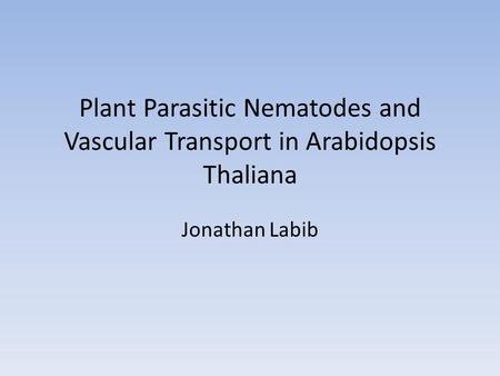 Plant Parasitic Nematodes and Vascular Transport in Arabidopsis Thaliana Jonathan Labib.