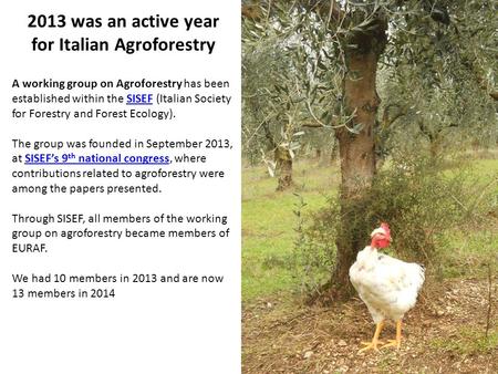 2013 was an active year for Italian Agroforestry A working group on Agroforestry has been established within the SISEF (Italian Society for Forestry and.