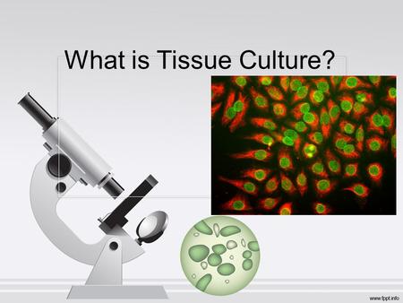 What is Tissue Culture?.