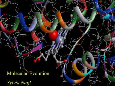 Molecular Evolution Sylvia Nagl. Relationships between DNA or amino acid sequence 3D structure protein functions Use of this knowledge for prediction.