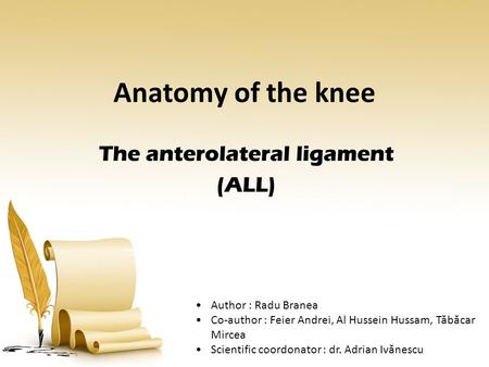 The anterolateral ligament (ALL)