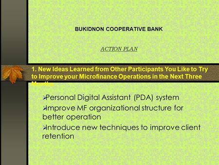 BUKIDNON COOPERATIVE BANK ACTION PLAN  Personal Digital Assistant (PDA) system  Improve MF organizational structure for better operation  Introduce.