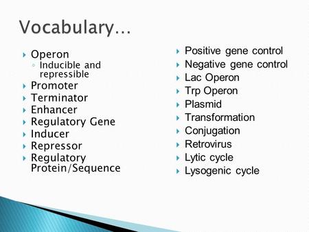  Operon ◦ Inducible and repressible  Promoter  Terminator  Enhancer  Regulatory Gene  Inducer  Repressor  Regulatory Protein/Sequence  Positive.