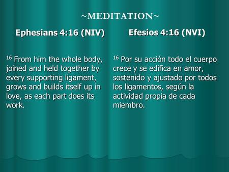 ~MEDITATION~ Ephesians 4:16 (NIV) 16 From him the whole body, joined and held together by every supporting ligament, grows and builds itself up in love,