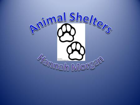 Dogs The animal shelter’s approximately have room for 90 or less dogs. In animal shelter’s they have to hold a stray dog for 48hrs, that’s the waiting.